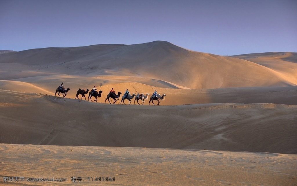 大漠图片 沙漠 风光 骆驼 风沙 奈曼 旅游摄影 国内旅游