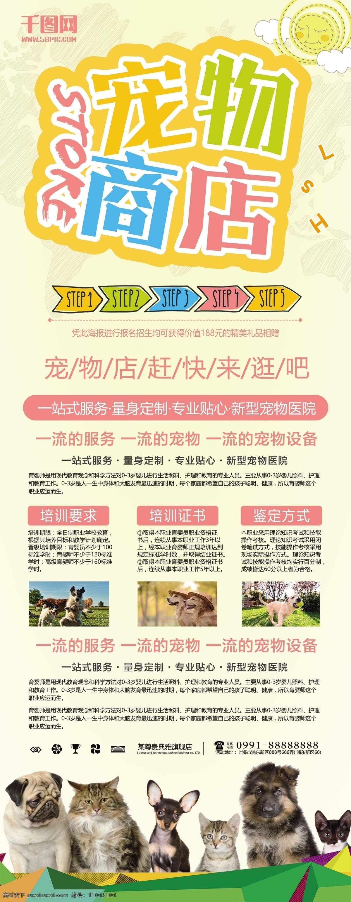 小 清新 宠物 商店 宣传海报 宠物医院 宠物店 猫 狗