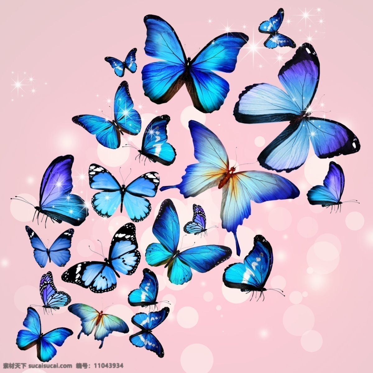飞舞的蓝蝴蝶素材图片下载-素材编号11043934-素材天下图库
