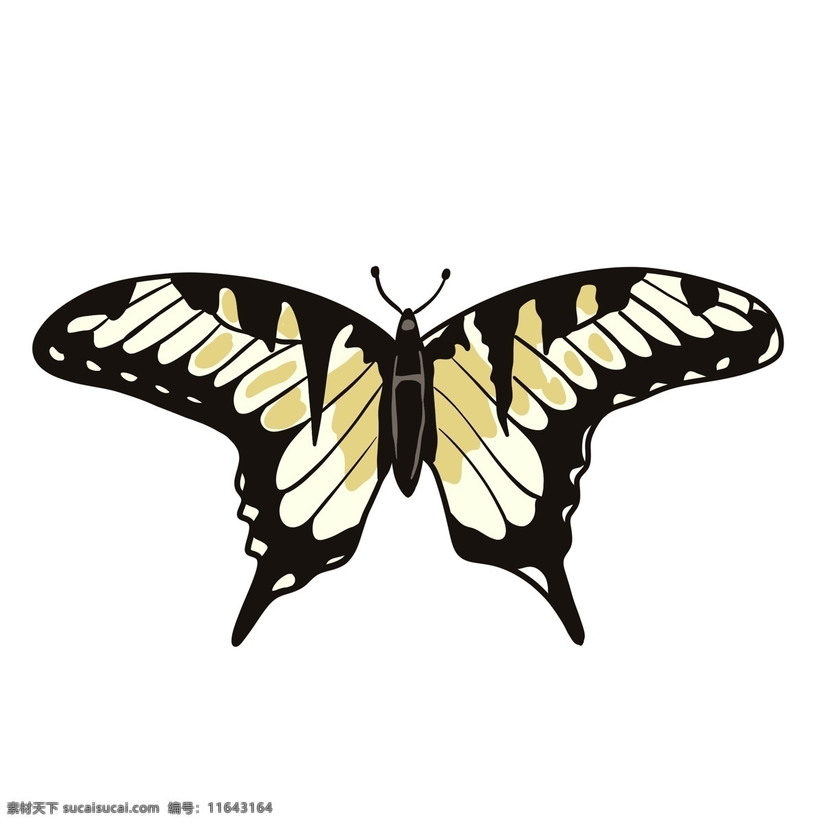 黄 黑色 蝴蝶 插画 手绘 元素 飞蛾 动物 昆虫 装饰 翅膀 黄色 触角 飞翔 飞行 小蝴蝶 可爱 形象 采花蜜