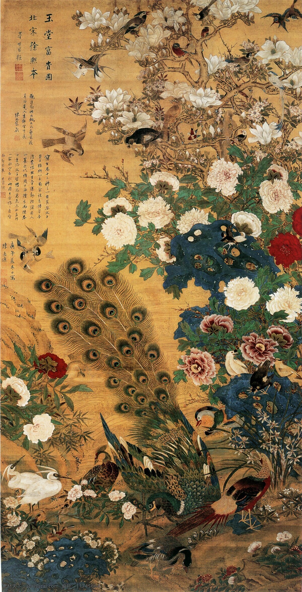 玉堂富贵图 花鸟 牡丹花 绘画 书法 孔雀 喜鹊 白鹭 山鸡 各种各样的花 中国画 文化艺术 传统文化 设计图库
