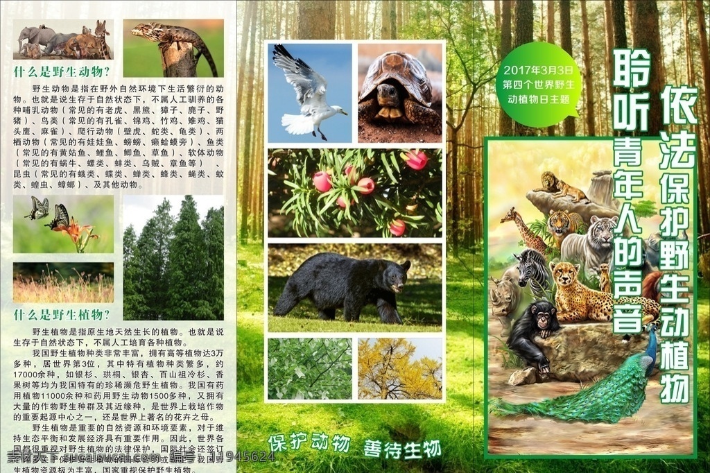 保护动植物 三折页 依法保护动物 依法保护植物 荷包折 宣传册 dm宣传单