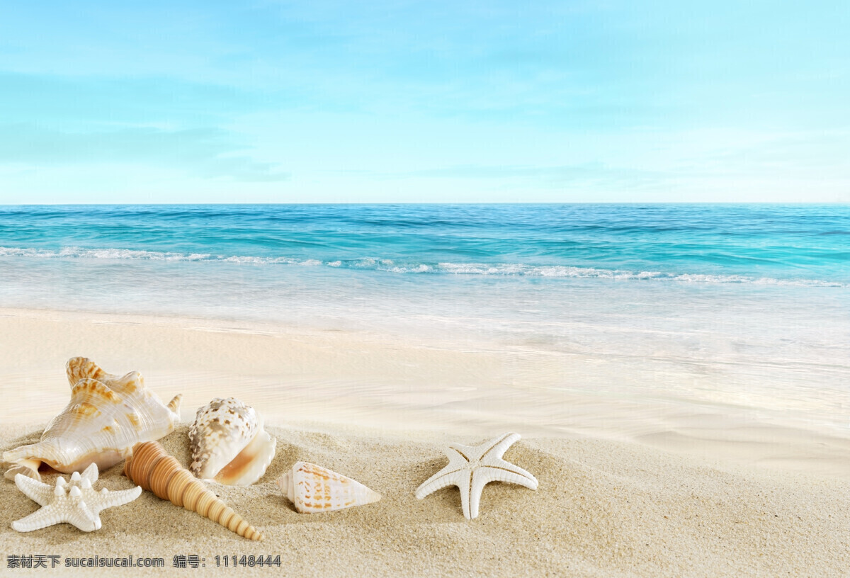 沙滩 海星 海螺 大海 海边 海浪 沙子 沙砾 浪花 蓝天 白云 蓝色 唯美 静谧风景 自然风景 自然景观