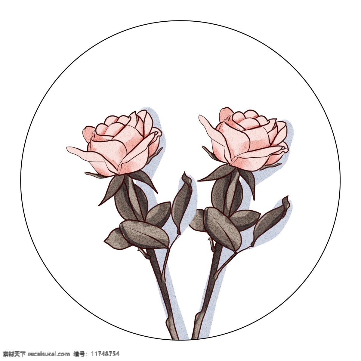 玫瑰 水彩 植物 手绘 板绘 清新 文艺 鲜花 花朵
