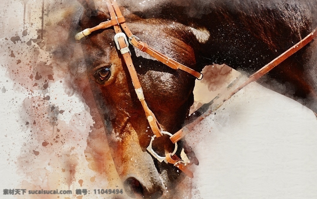 骏马图片 野马 奔马 马文化 马精神 奔跑的骏马 沙漠骏马 马蹄 骏马 马 跑马 草原骏马 草原 驰骋 纵横 奔跑 动物 跳跃 剪影 宝马 黑马 一骑绝尘 高清骏马 生物世界 野生动物