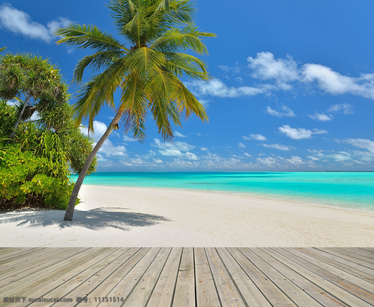 海边 景色 海边风景 海边发光 自然风光 自然景色 沙滩 椰树 旅游度假 大海图片 风景图片