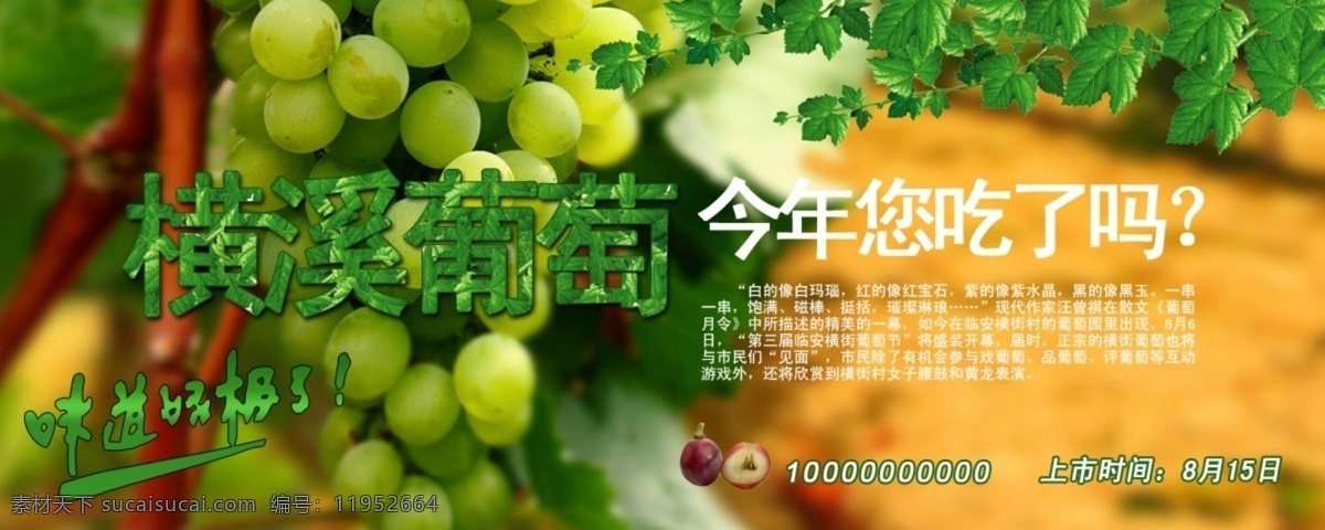 葡萄广告 葡萄 葡萄节 叶子 宣传 广告 中文模板 网页模板 源文件