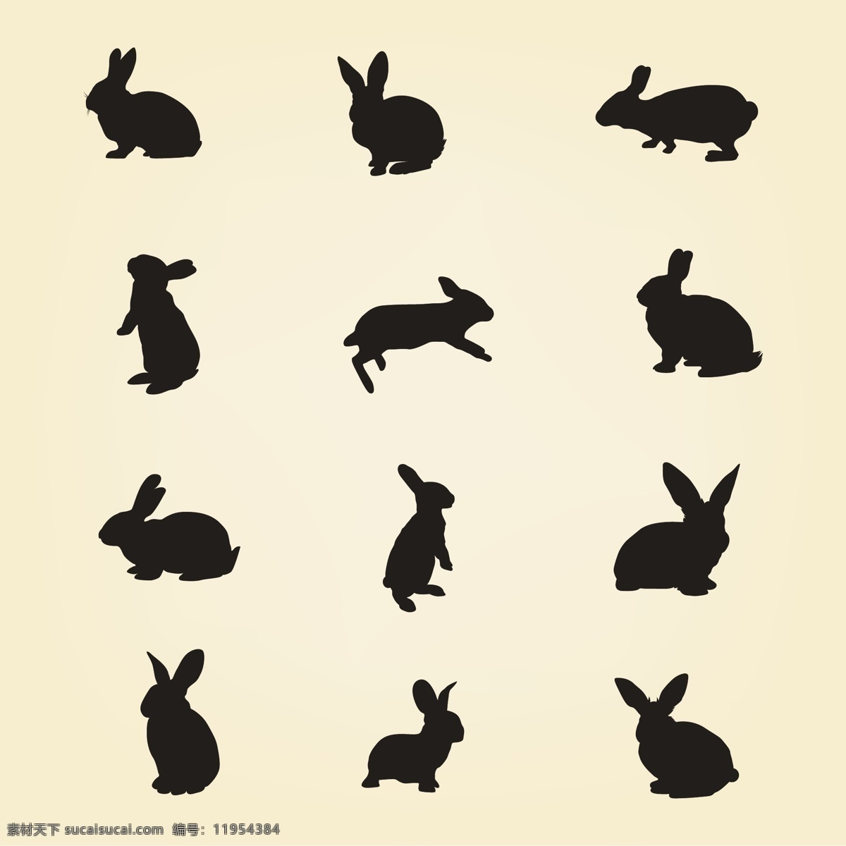 兔子剪影 兔子 剪影 白色
