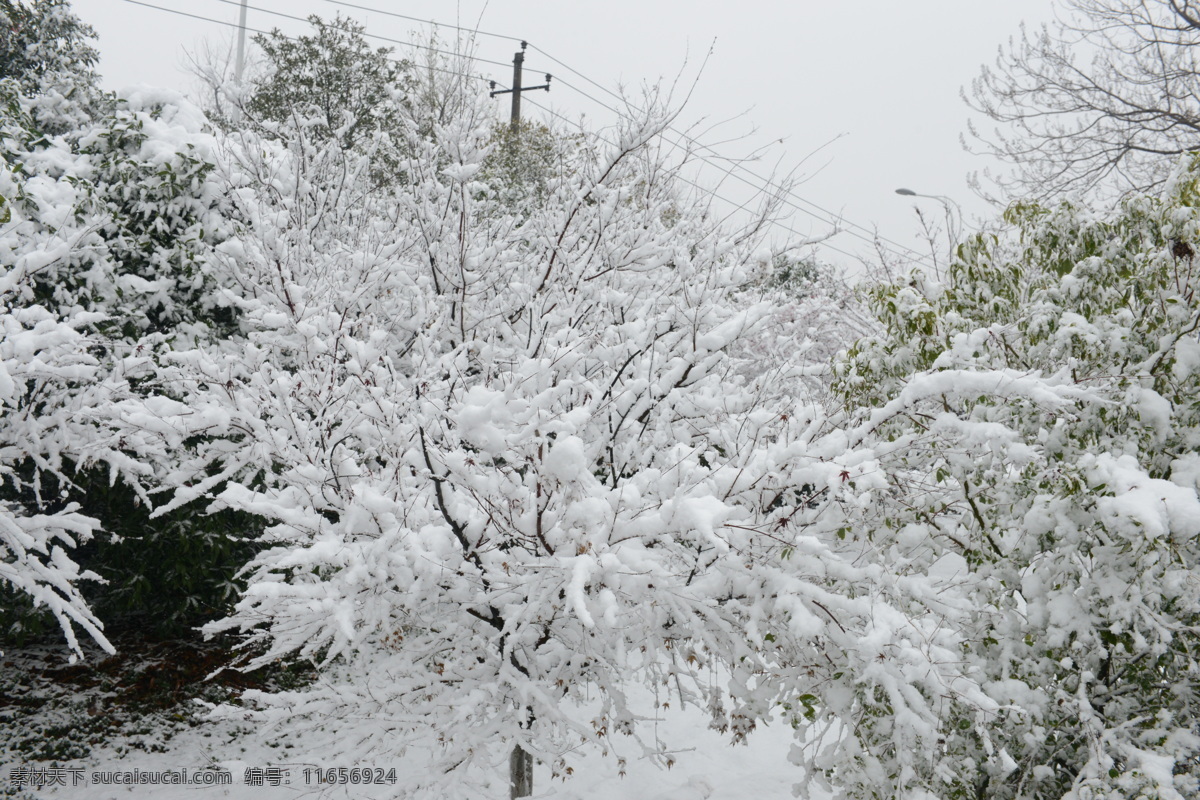 大雪纷飞 白雪皑皑 南昌大雪 公园雪景 八大山人公园 自然景观 自然风景