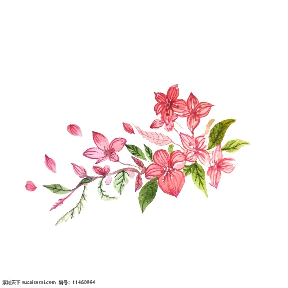 鲜花 节日 清丽 脱俗 美丽 漂亮花朵 粉色 绿色 花开 清香 纯洁 清新 清丽美人 高贵 唯美
