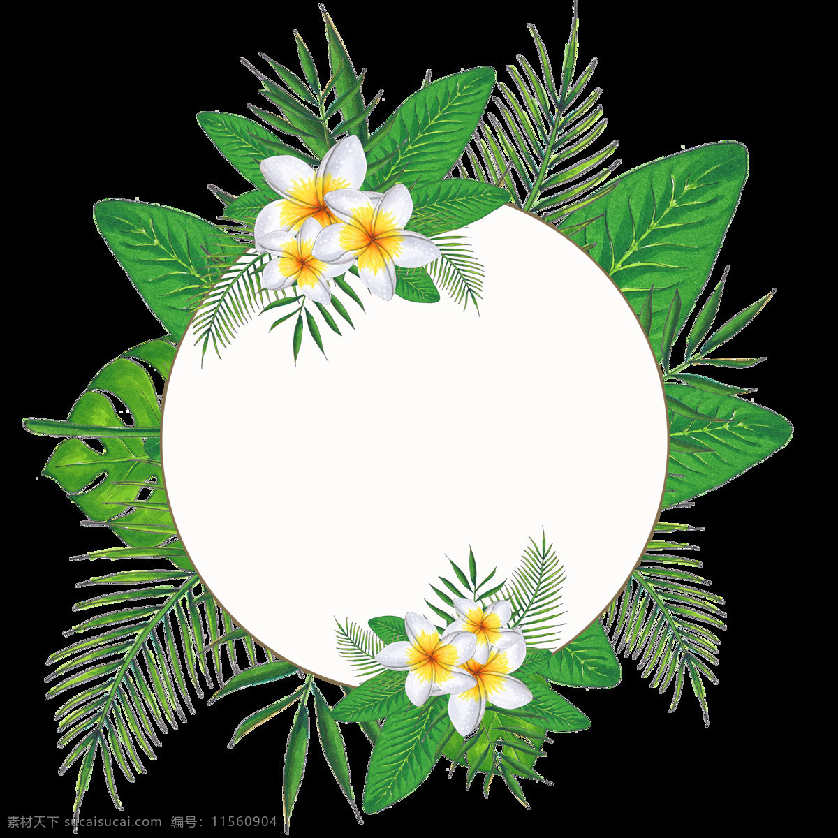 手绘 夏日 旅游 海报 底纹 透明 鸡蛋花 绿色 免扣素材 水彩 透明素材 叶子 装饰图案