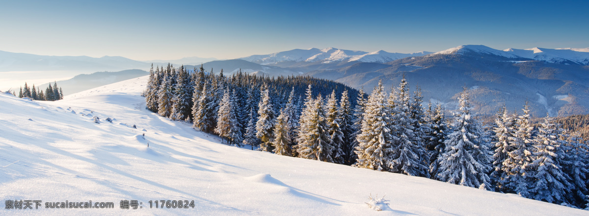 美丽 冬天 树林 雪景 美丽雪山风景 山峰美景 宽幅风景 冬天风景 景色 风景摄影 雪景图片 风景图片