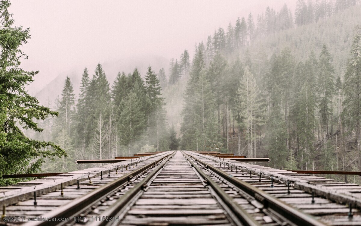 铁路 铁路轨道 火车铁轨 松树 冷 高山 薄雾 雾 丘陵 山 山区 导轨 消失点 森林 自然景观 自然风景
