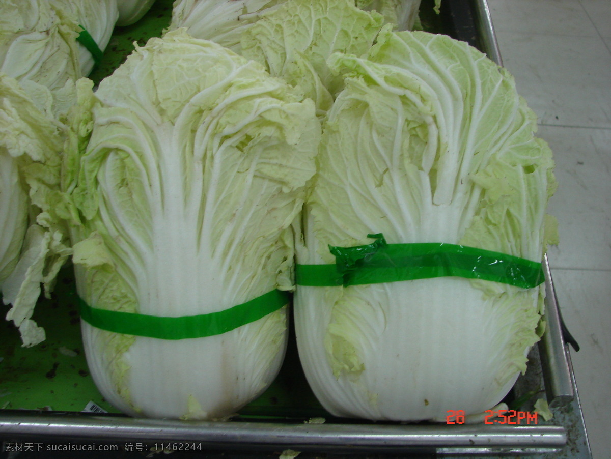 大白菜 超市dm 超市白菜 白菜 蔬菜 生物世界