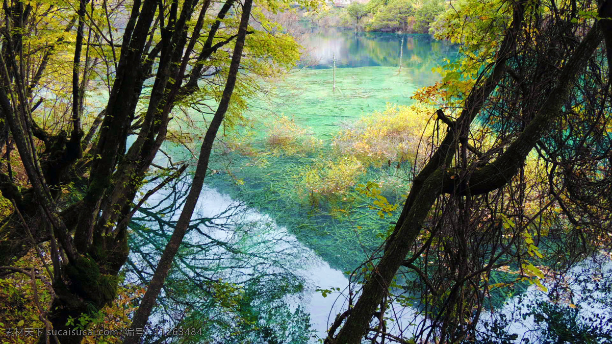 九寨沟 风景区 自然保护区 春季 四川 山水景区 仙境 清澈 秋天 秋季 森林 树林 层林尽染 摄影作品 旅游摄影 自然风景