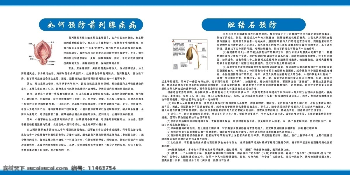 预防 前列腺 胆结石 广告 中文字 胆囊 蓝色边框 白色背景