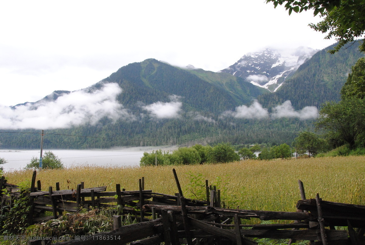 西藏 风景 湖 湖泊 湖面 湖水 湖水风景 麦田 雾 雾气 西藏风景 远山 雾蔼 雪山 生活 旅游餐饮