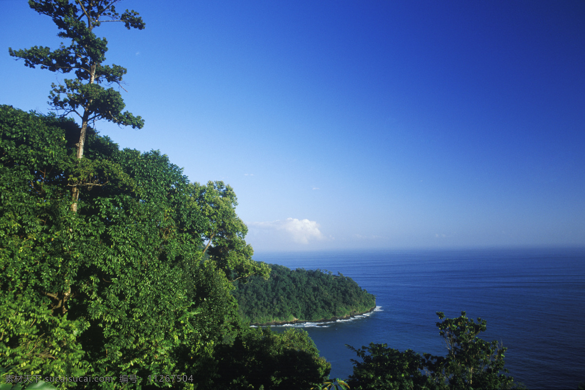 海岸 绿树 蓝天 特写 大海 漂亮 美景 风景 岸边 加勒比海岸 高清图片 大海图片 风景图片