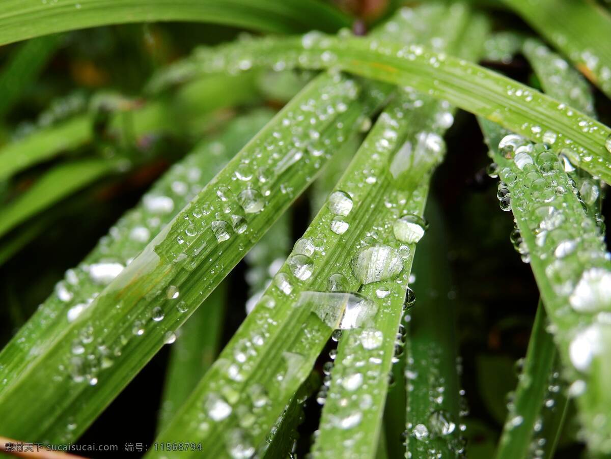 水 滴 湿 背景 自然 壁纸 环境 雨滴 插图 城市 建筑 窗 玻璃 朦胧 自然景观 山水风景