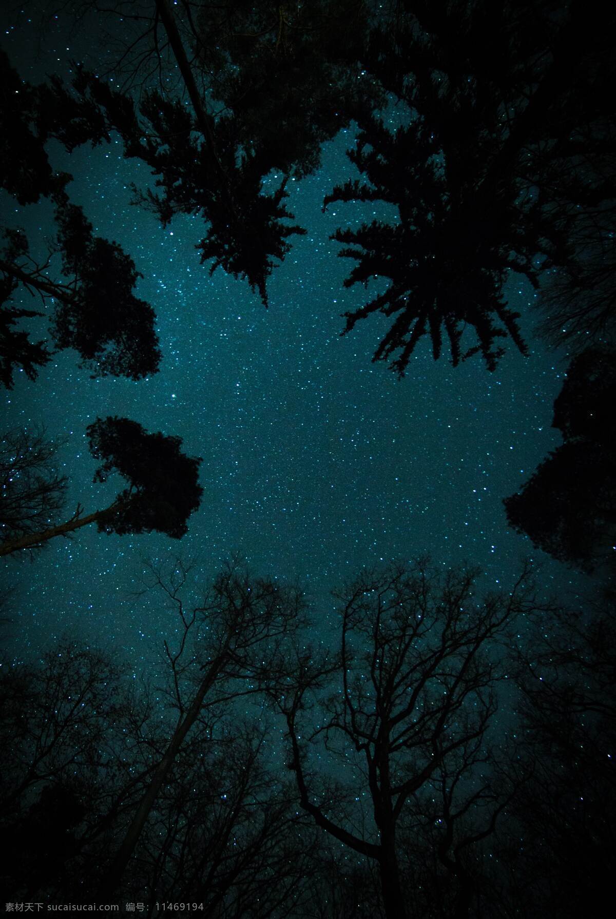 暗夜星空 暗夜 星空 星空背景 夏夜 树林 树木 安静