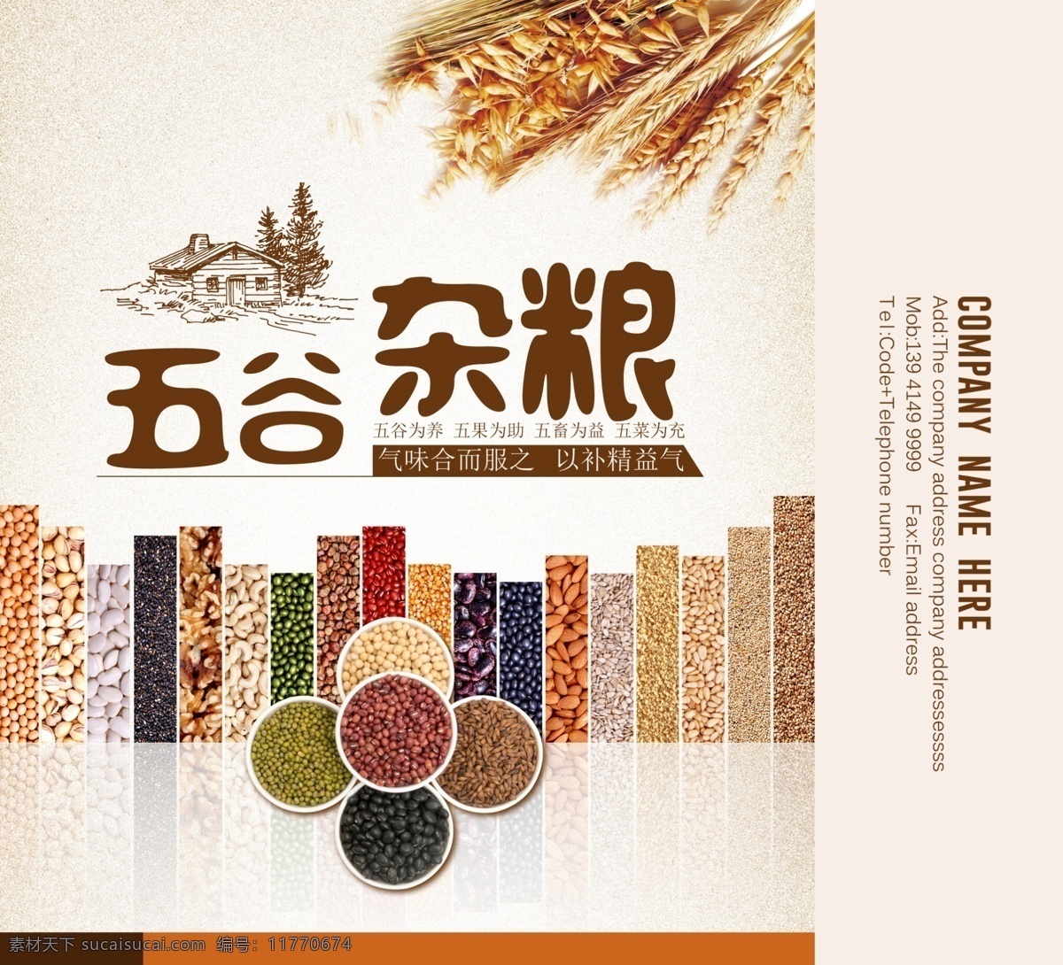 五谷杂粮 丰收 稻米 水稻 大米 小米 小麦 麦子 高粱 燕麦 细粮 白面 黍 稷 麦 菽 粮食 包装素材