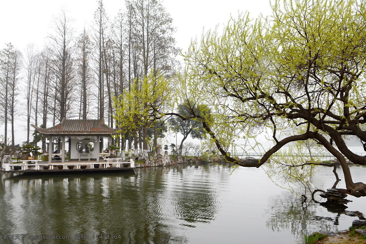 南京 玄武湖 公园 风景