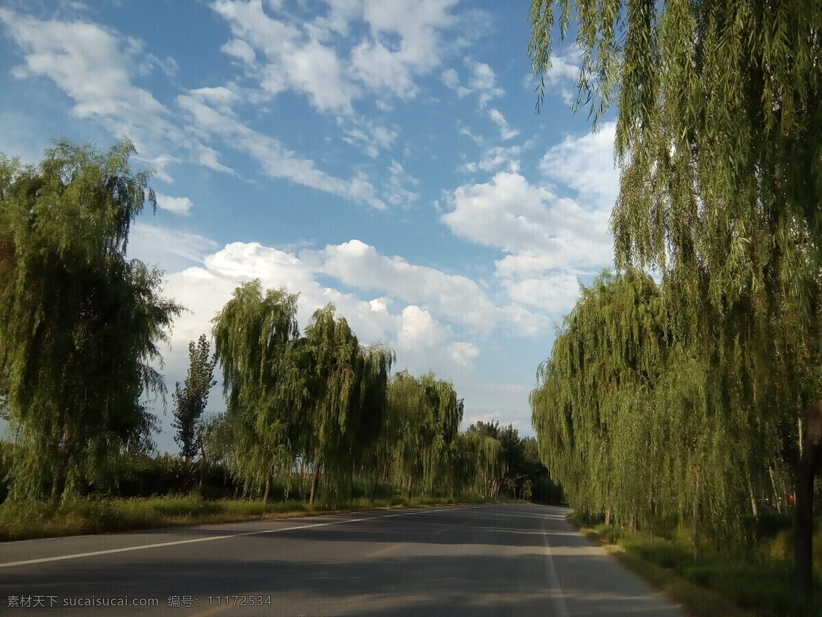 大路 道路 蓝天 天空 白云 运毒 树木 自然风景 风景图 生物世界 花草