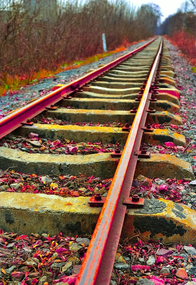 铁路 彩色 铁轨 梅红 黄色 道路 火车 人文景观 旅游摄影