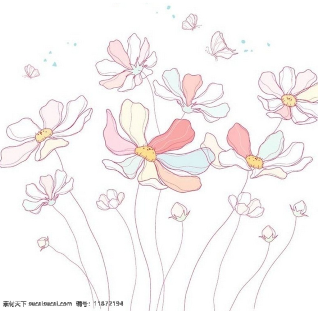 五彩 波斯菊 蝴蝶 插画 手绘 植物 插图 装饰画 花边 花纹 野花 花朵 花卉 矢量 底纹边框 背景底纹