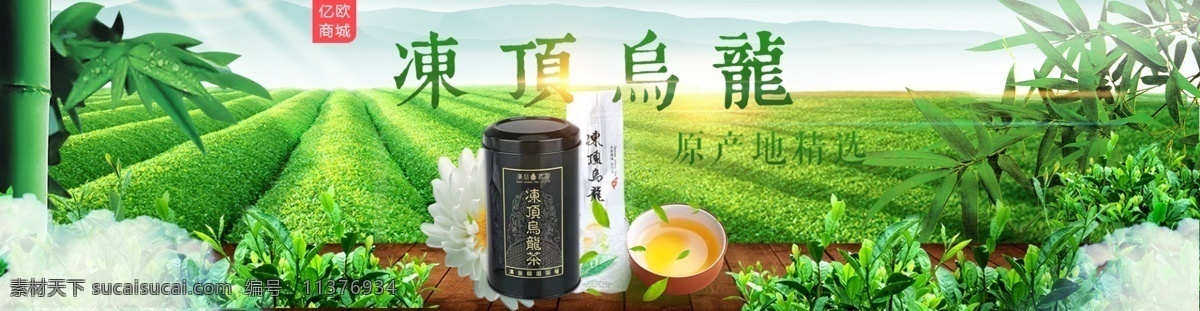 茶叶 banner 乌龙茶