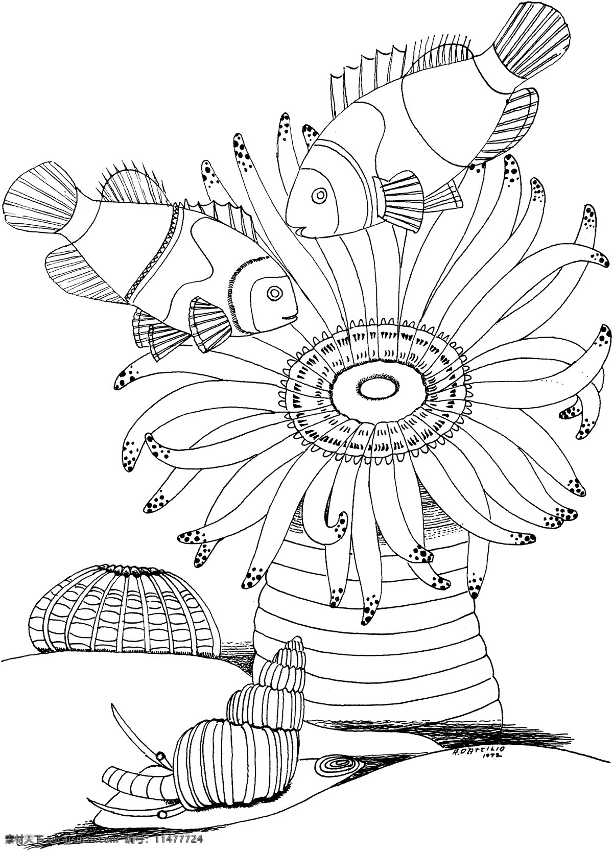 海洋生物 动物素材 海洋 动物 手绘 画 设计素材 动物专辑 素描速写 书画美术 白色