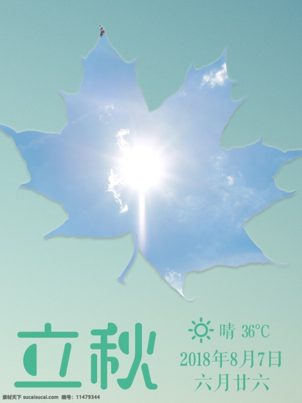 立秋 二十四节气 海报 小清新 树叶 简约 夏天