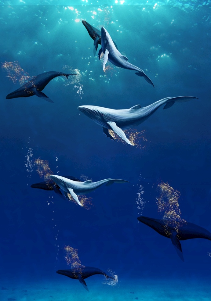 遨游 鲸鱼 大海 深海 背景 桌面 海洋生物 生物世界 展板模板