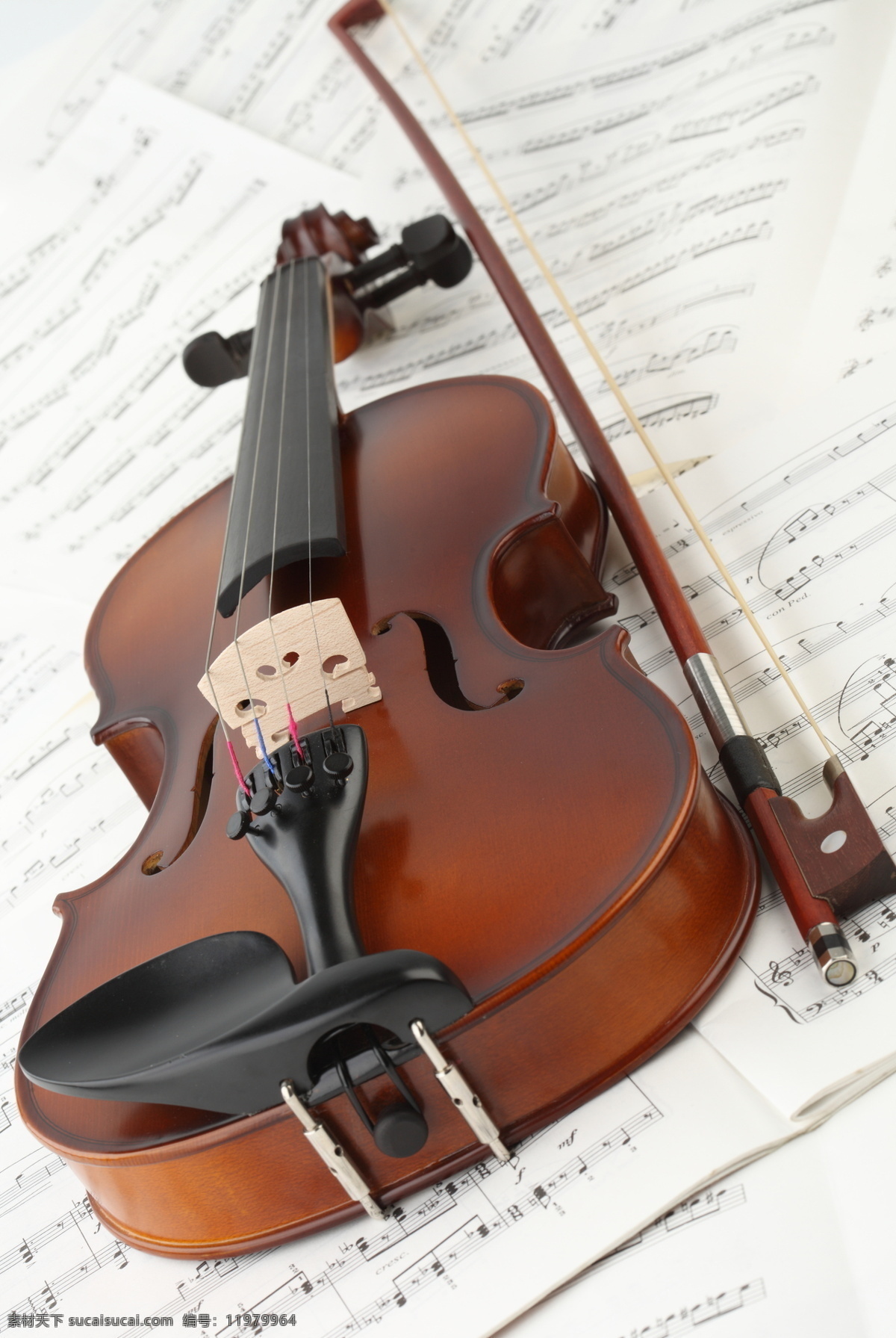 小提琴与音符 小提琴 乐谱 音符 中提琴 玫瑰 玫瑰花 鲜花 文化艺术 音乐 乐器 西洋乐器 影音娱乐 生活百科 白色