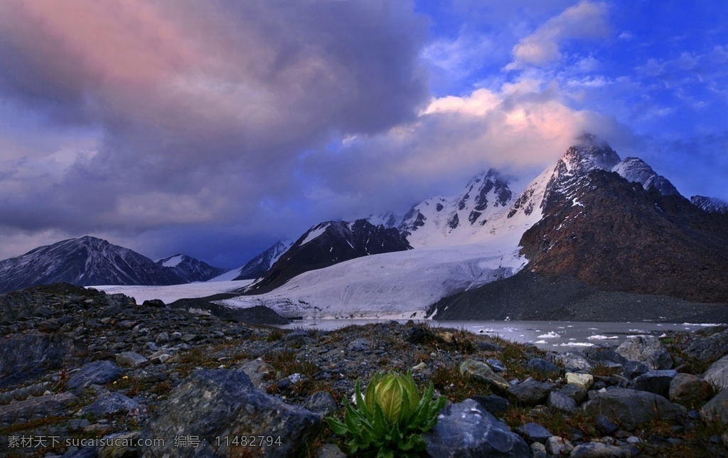 新疆 天山 博格达峰 蓝天 白云 山峰 白雪 雪莲 自然景观 自然风景
