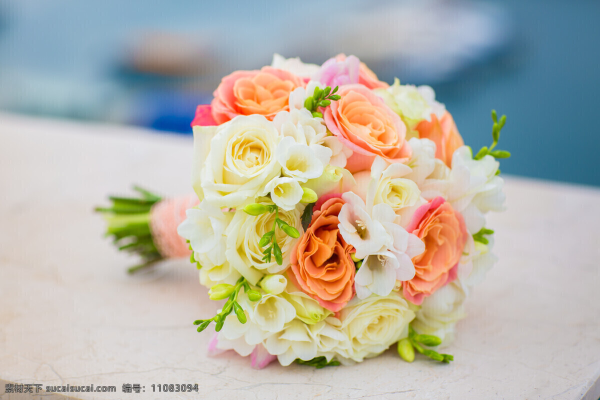 束 美丽 花朵 花朵花卉 美丽花朵 植物花朵 鲜花 花草树木 生物世界