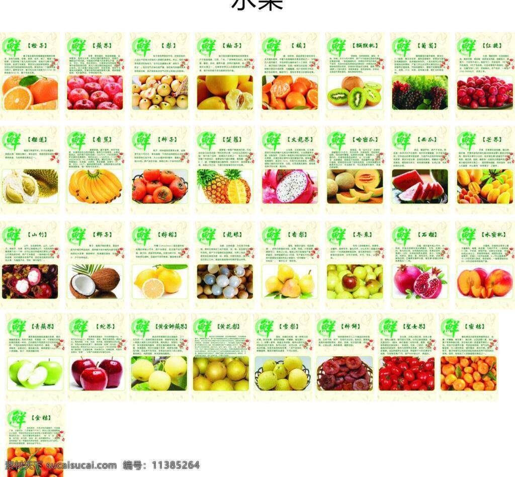 水果 小 贴士 火龙果 生活百科 香蕉 矢量 模板下载 水果小贴士 水果营养功效 矢量图 日常生活