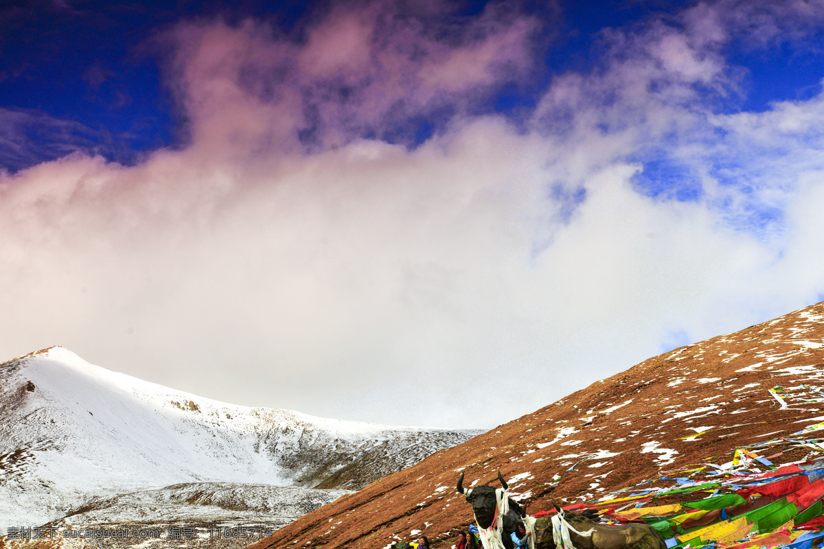 米拉雪山 雪山 青藏高岩 高原 西藏 牦牛 山峰 白云 雪域高原 旅游摄影 国内旅游