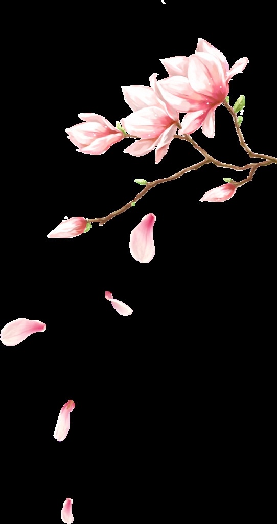 桃花花瓣免抠 手绘花朵 粉色花朵 花瓣元素素材 落花片片 抠图花 花抅图 底纹边框 花边花纹