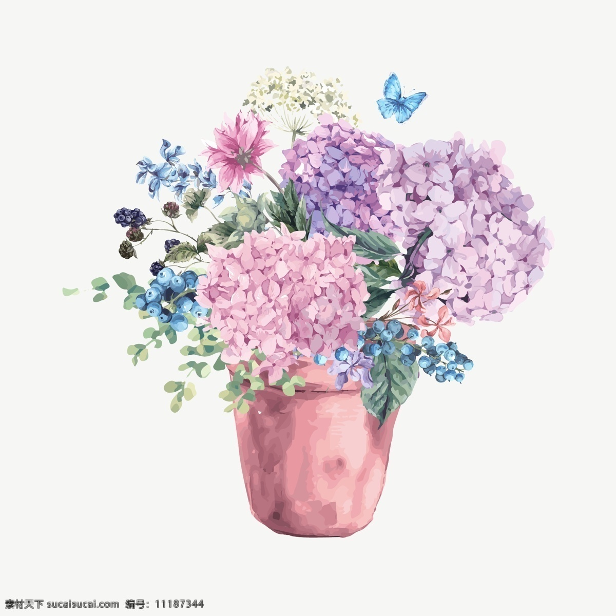 紫阳 花 矢量 手绘 花朵 装饰 插画 源文件
