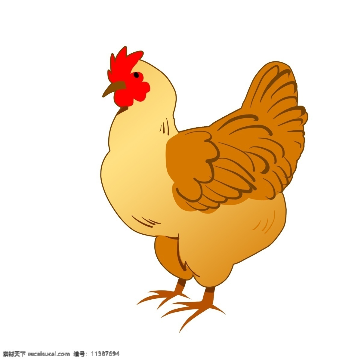 家禽 白色 母鸡 插画 家禽母鸡 白色的母鸡 漂亮的母鸡 手绘母鸡 卡通母鸡 母鸡装饰 母鸡插画