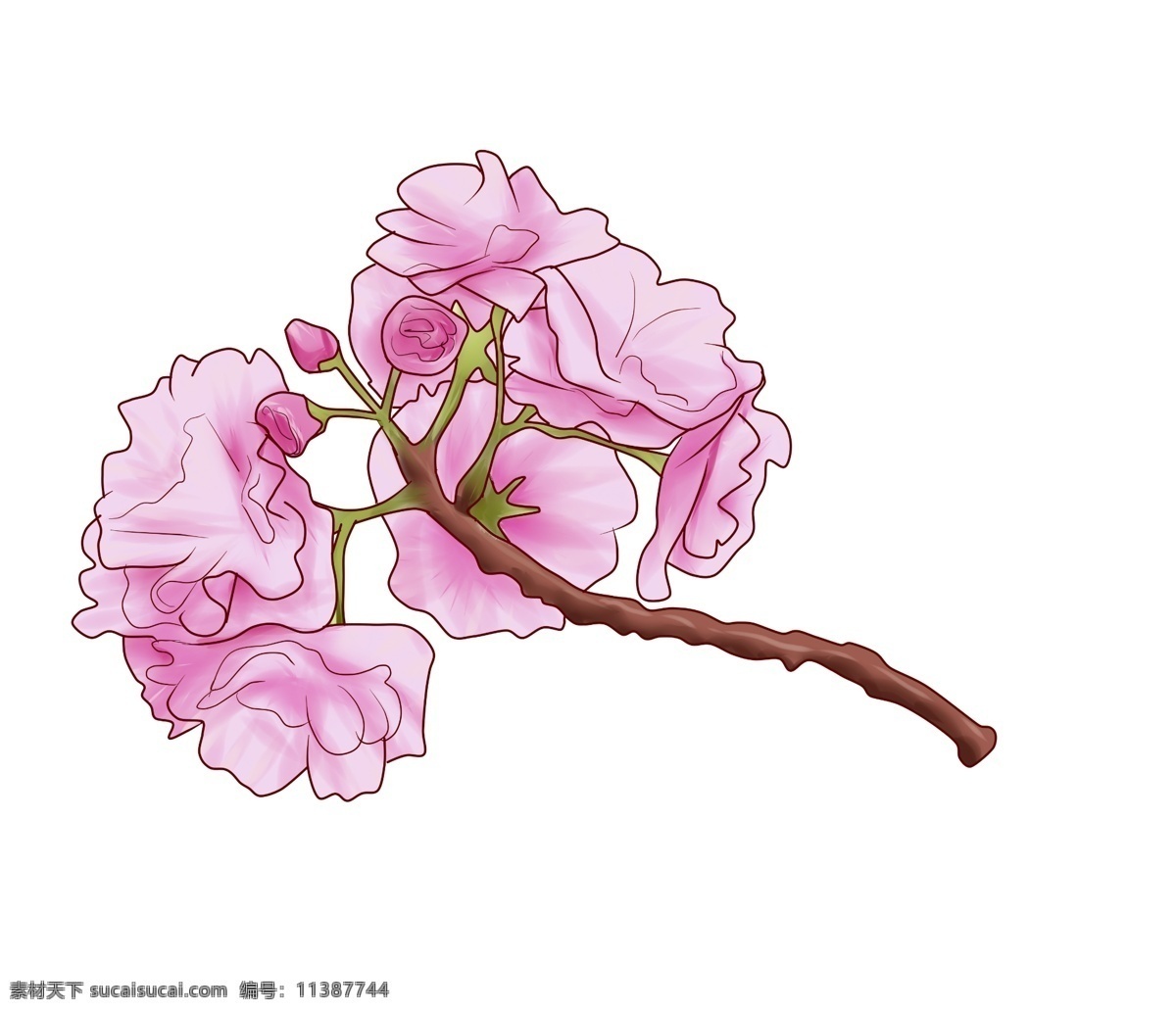 日本 粉色 樱花 插画 日本的樱花 粉色的樱花 一支樱花 美好 花朵 装饰 浪漫 粉嫩 花枝 治愈