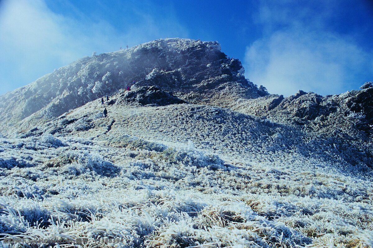 冬季风景