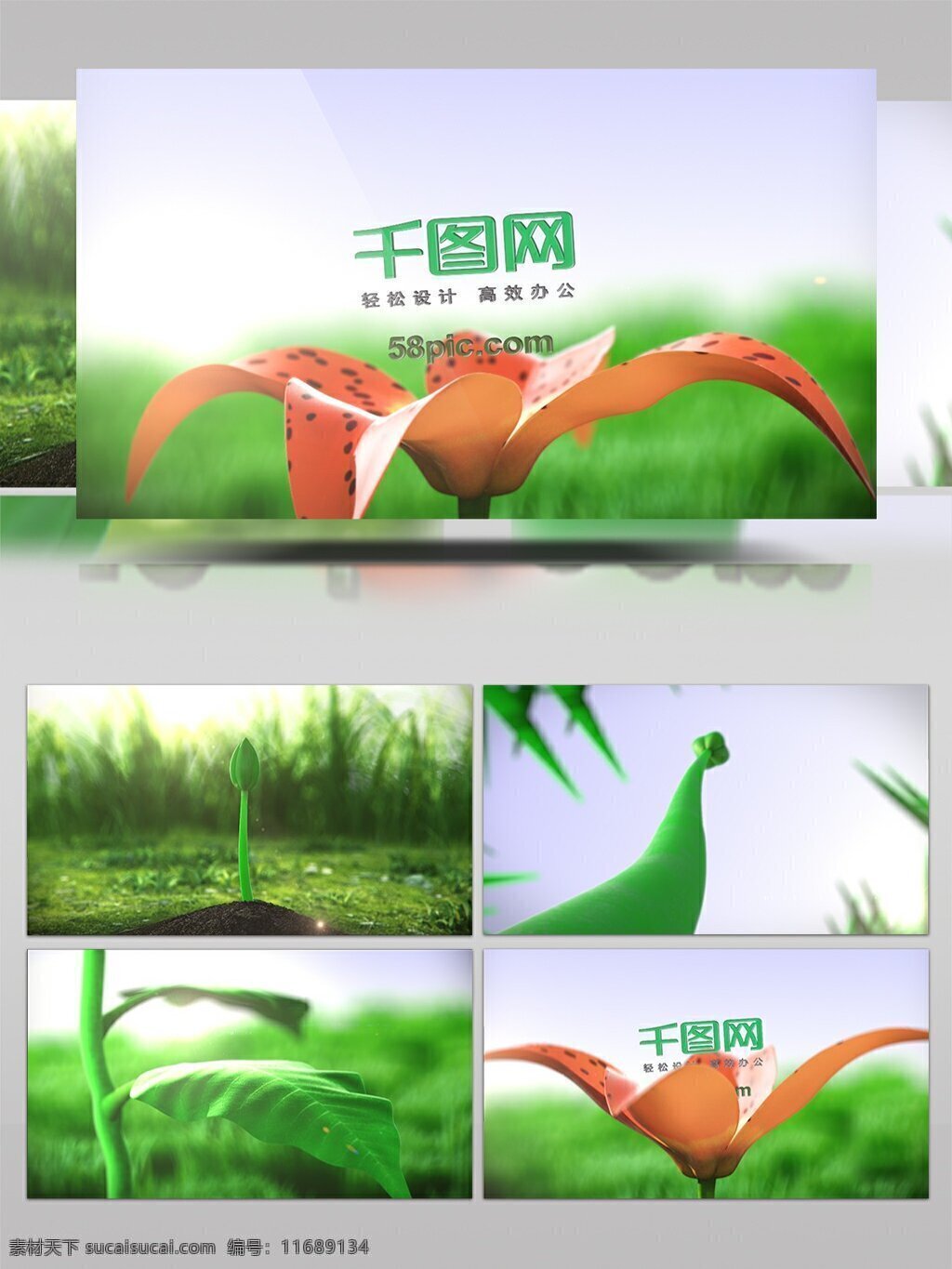 种子 幼苗 生长 开花 logo 展示 植物 花朵 森林 绿色 模板 开放 logo演绎 视频 ae