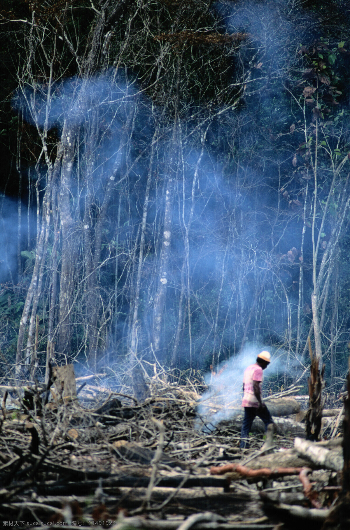 森林 大火 救援 烟雾 环境 破坏 砍伐 污染 自然风景 自然景观