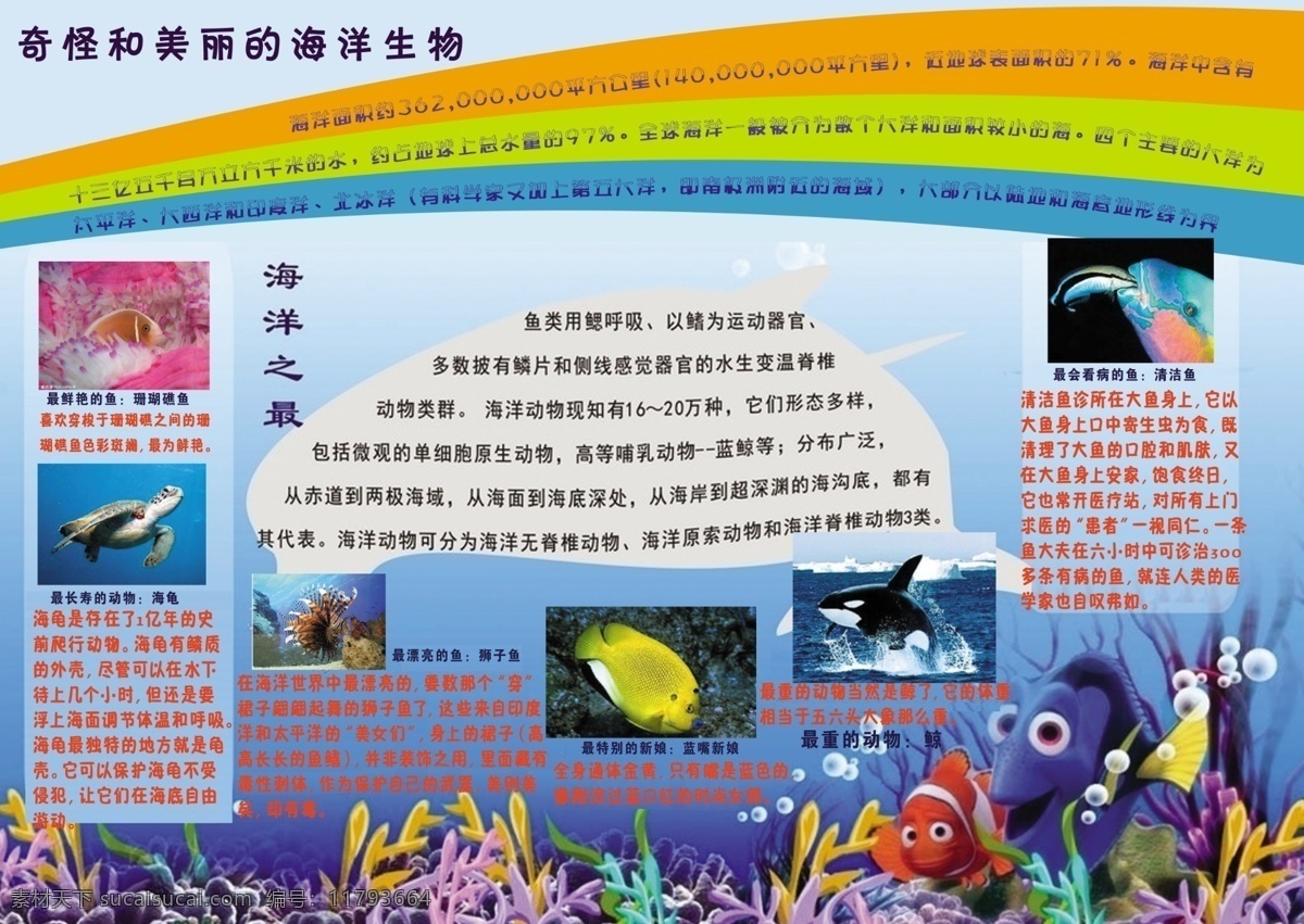 海洋小报 奇怪 美丽 海底生物 海洋生物 分层 源文件