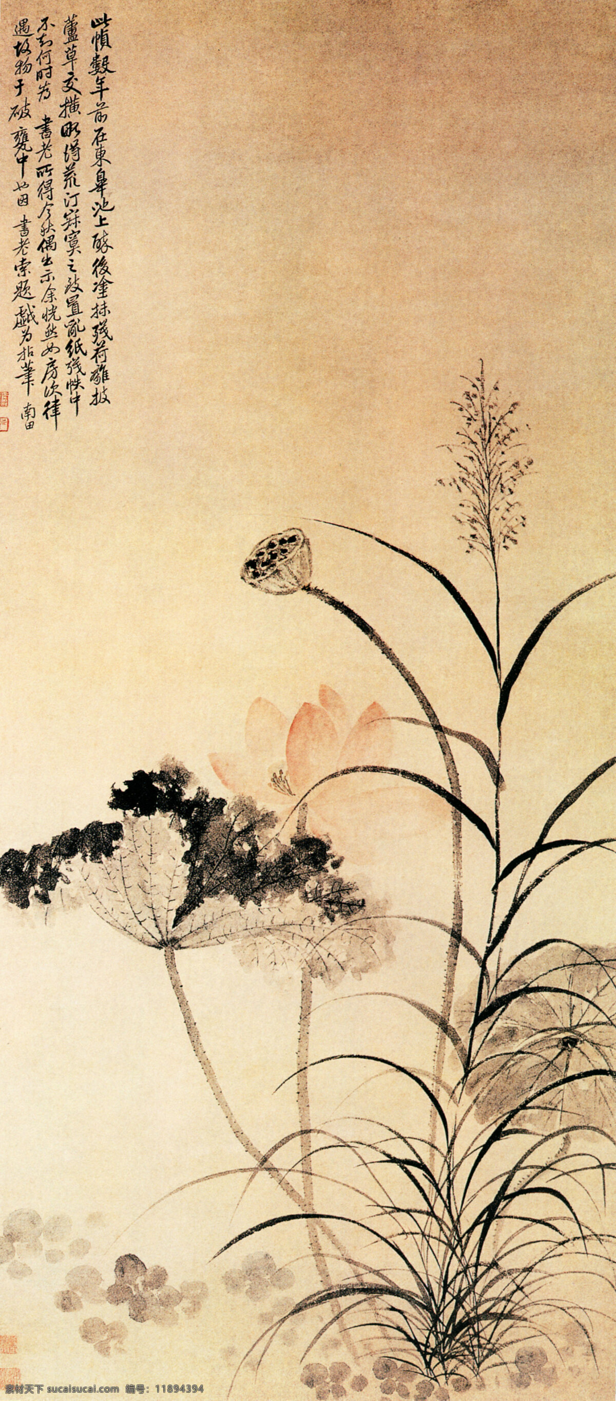 荷花芦草图 国画 荷花 芦草 文化艺术 绘画书法 国画花鸟 设计图库