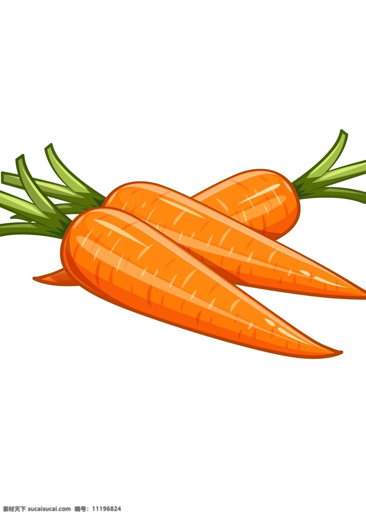 手绘 矢量 胡萝卜 手绘胡萝卜 矢量胡萝卜 水果素材 橙萝卜 胡萝卜漫画 水果蔬菜