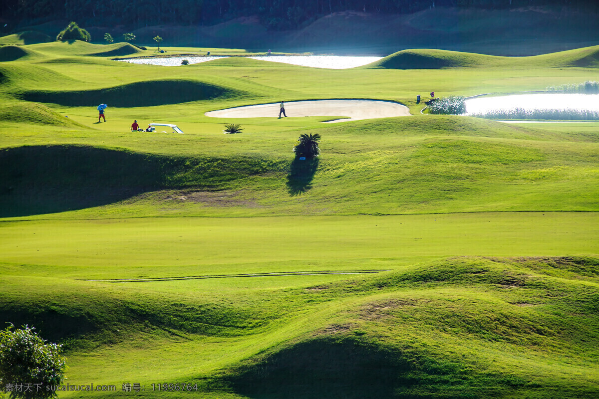 高尔夫球场 绿地 草坪 草地 美丽风景 高尔夫俱乐部 自然风景 自然景观 黄色
