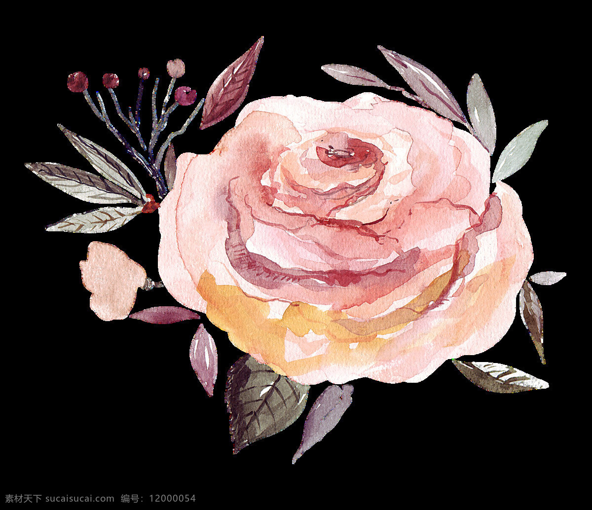 婚礼 贺卡 花卉 透明 装饰 祝福 抠图专用 设计素材